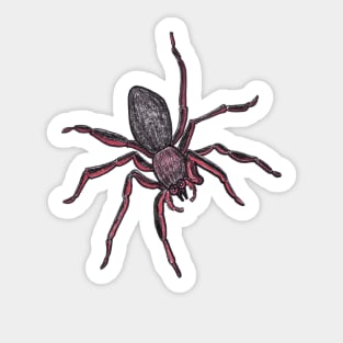 Along Came A Spider Sticker